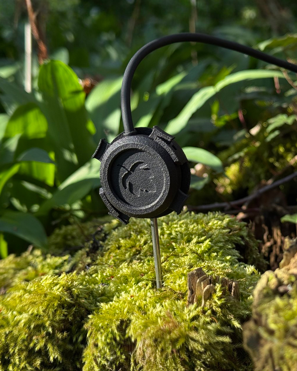 LeafAudioのContact Microphoneを針のアタッチメントで地面に刺す